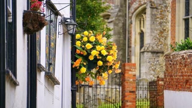 flower basket