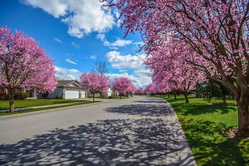 Mark Spain Real Estate has summarized the key updates in Charlotte