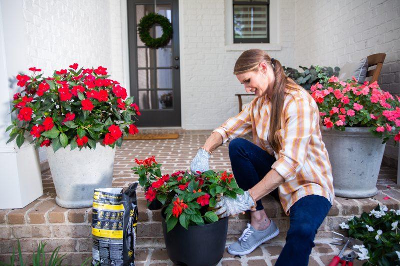 DIY landscaping is a great option when you're boosting curb appeal in a time crunch. 