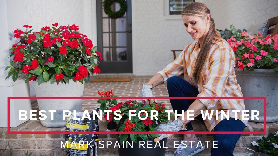 Maintain Curb Appeal In The Winter To Attract Buyers