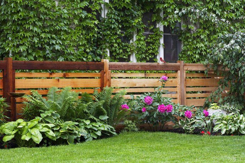 Renovating Your Outdoor Space With Mark Spain Real Estate