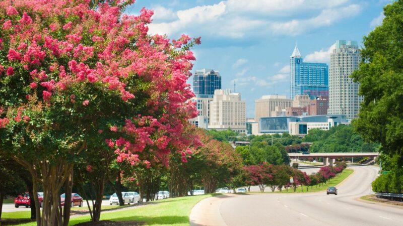 Exploring the Summer Real Estate Market in Raleigh
