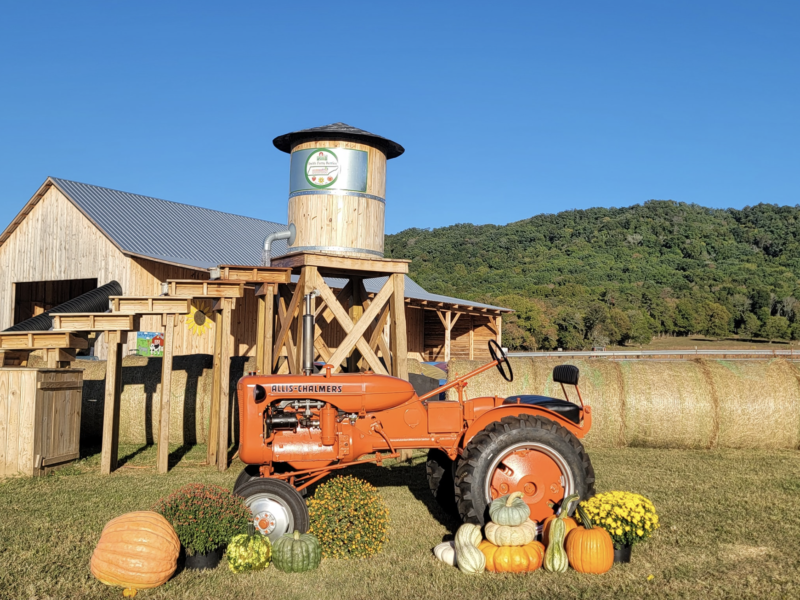 Perry Berries Farm decorated for the Mark Spain Fall Festival and Pumpkin Giveaway