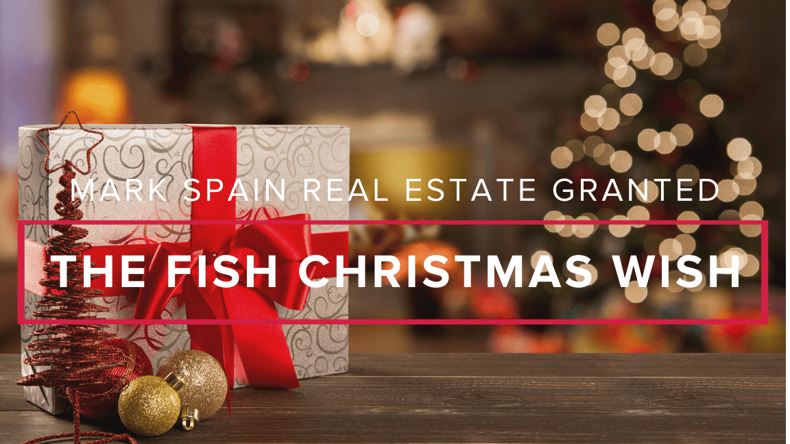 2020 104.7 The Fish Christmas Wish Mark Spain Real Estate