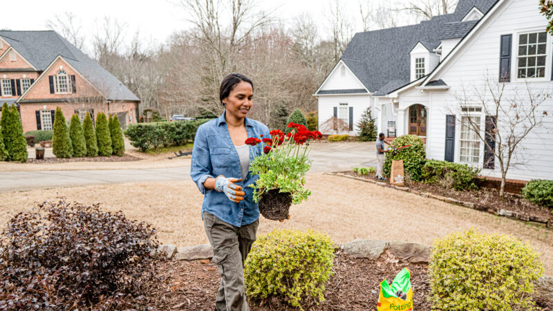 Landscaping Tips for the Spring
